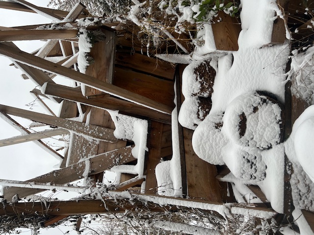 la neige du janvier 2024