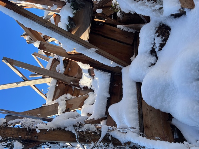 unsere Winterpause unter dem blauen Himmelszelt von Freiburg