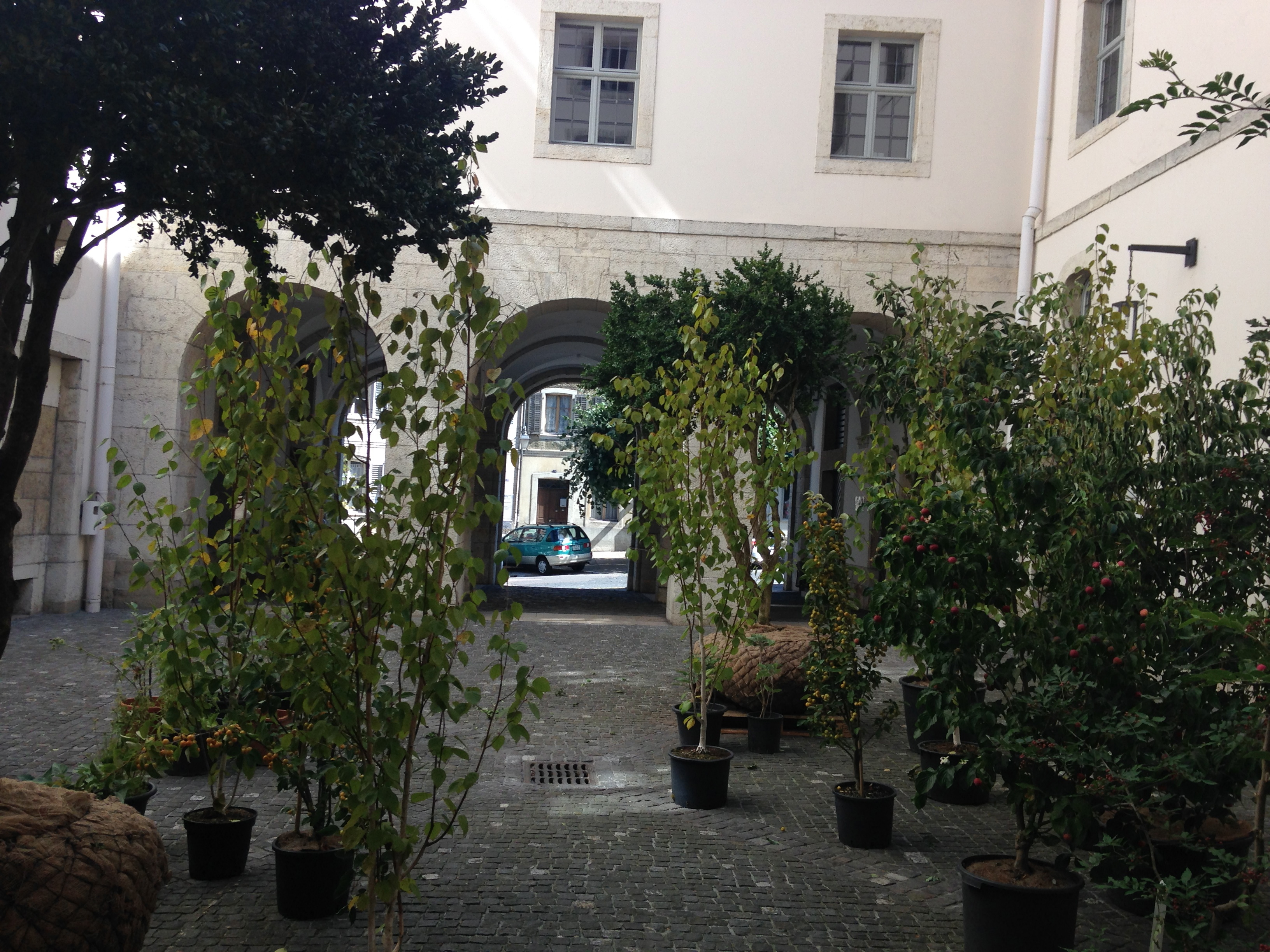 Christiane Hamacher & Isabel Moesch
Radices Agere, Part 3: Abbraccio, 2015
Jardin d’amour pour la cour de l’Hôtel des Halles
