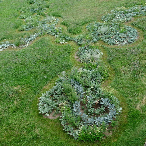 Christiane Hamacher & Isabel Moesch.Radices Agere _Wurzel schlagen_Part 2
Le jardin peint
