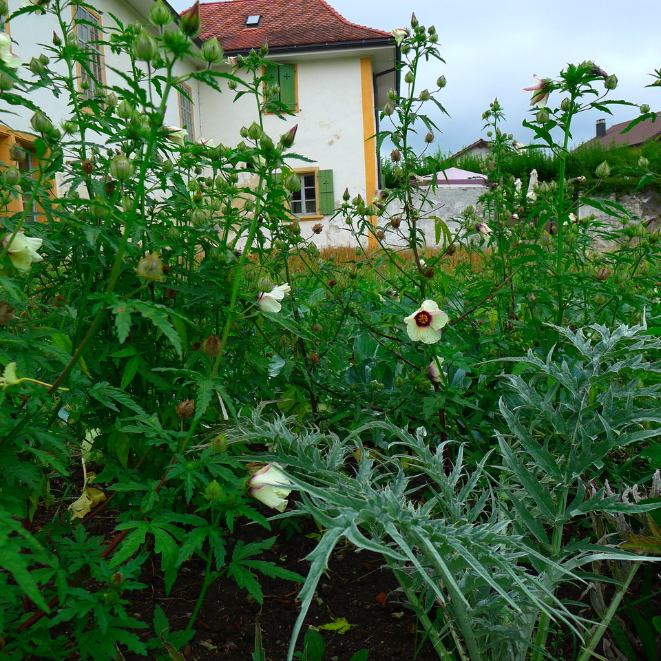 Christiane Hamacher & Isabel Moesch. Elke Pahud de Mortanges. Radices Agere _Wurzel schlagen_Part 2
Le jardin peint