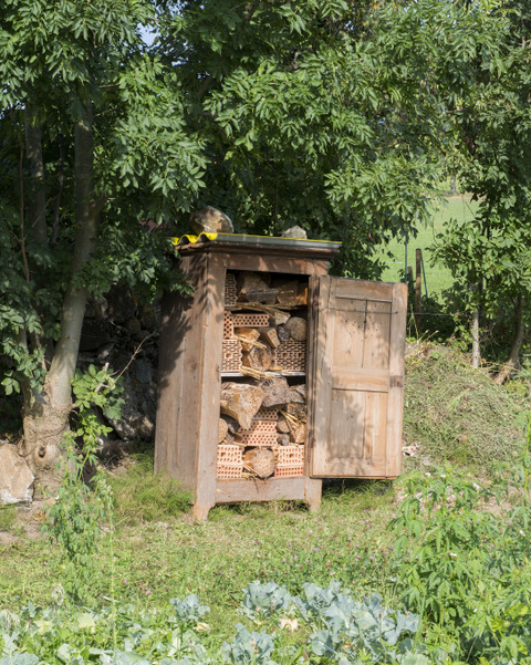 Aladin Borioli et la collaboration avec les enfants de l'école primaire: une maison pour les abeilles. ©MarieRime