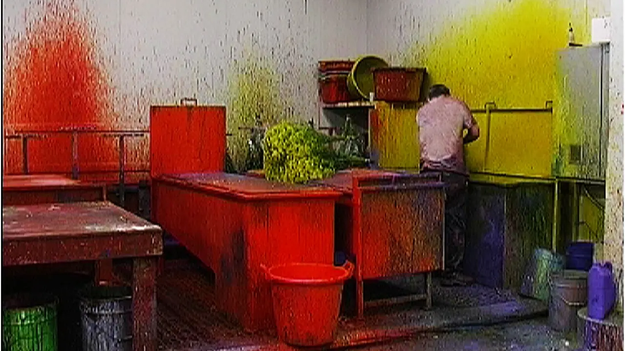 Ursula Palla (1961), Flowers IV, 2004, projection vidéo.
Filmée en Hollande sur le marché aux fleurs de Aalsmeer, la vidéo d’Ursula
Palla montre des ouvriers qui colorent des fleurs et des herbes et transforment la
beauté naturelle en beauté artificielle. Lors de cette colorisation, une forme de
papier peint se crée sur les murs.