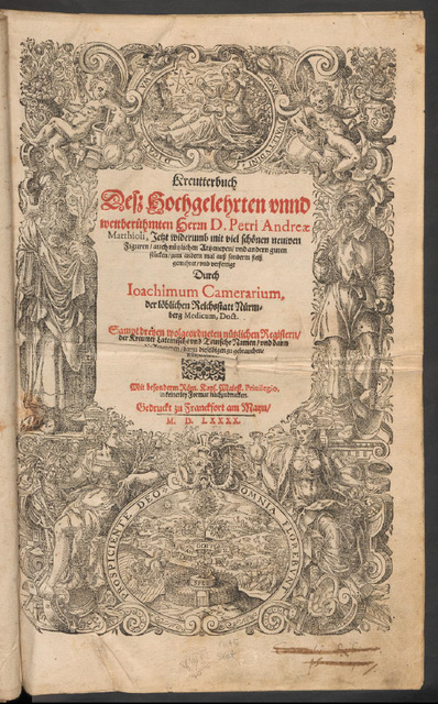 D. PETRI ANDRAE MATTIOLI: Kreuterbuch, 16. Jh.