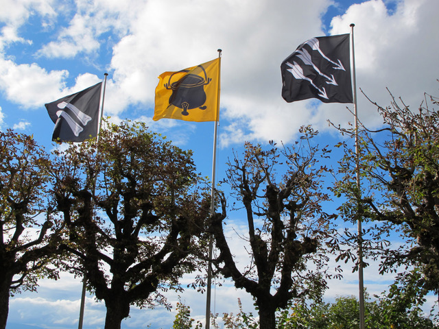 Jean-Damien Fleury: Couleurs africaines, 2009.
Sur les mâts de la Ville de Morat que des drapeaux officiels  communes suisses sélectionnés pour leurs relations avec l’imaginaire africain : Des drapeaux à têtes d’hommes noirs comme ceux d’Avenches (VD), de Cornol (JU), de Flumental (SO), des drapeaux qui font allusion à l’homme sauvage du Sud. Ils sont des drapeaux qui parlent d'un long passé mouvementé et racontant des influences venues d'ailleurs. 
©PrimulaBosshard