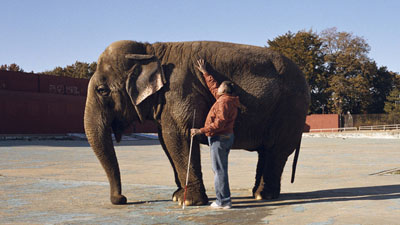 Javier Téllez: The Elefant and the Blind Men“, 2008. Fotografie